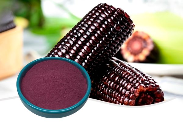 maiz-morado maiz-morado